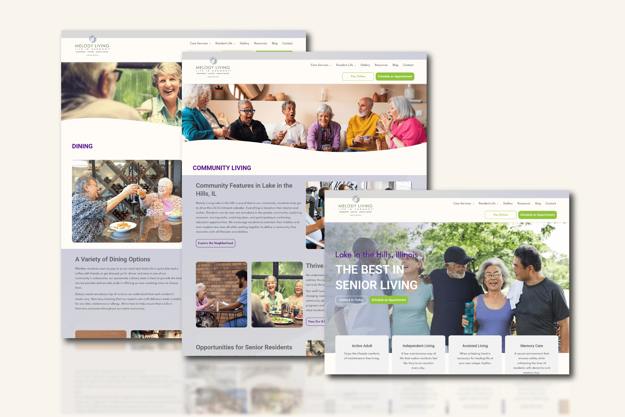 Custom Web Pages Illustrator-02